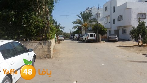 dahmashasudwq (16).jpg